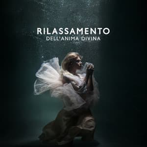 Rilassamento dell'anima divina: Rilassamento pacifico e meditazione - Relax accademia di benessere