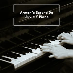Armonía Serena De Lluvia Y Piano - Fabricantes de lluvia suave