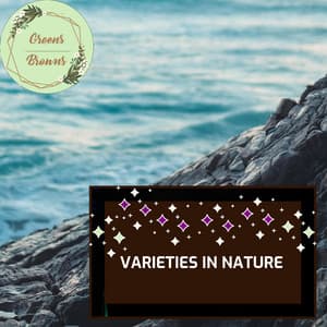 Varieties in Nature - Calm Music