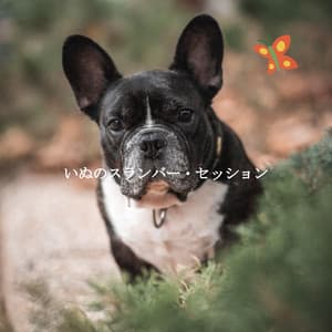 いぬのスランバー・セッション - Musica di Sottofondo Jazz