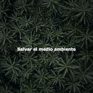 Salvar el medio ambiente - Soothing Classic Bossa