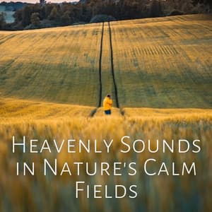Heavenly Sounds in Nature's Calm Fields - Nature Vibrations