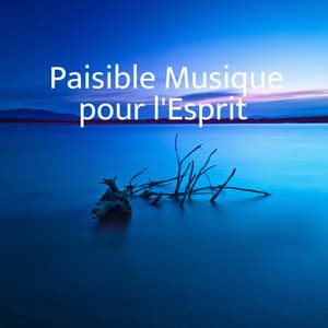 Paisible Musique pour l'Esprit - Relaxation Sommeil et Détente