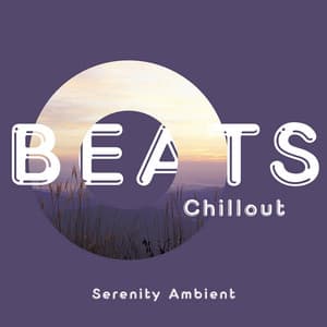 Serenity Ambient: Soothing Chill Beats for Peaceful Rest - Beats Chillout
