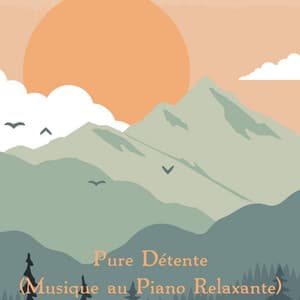 Pure détente - Oasis de Détente et Relaxation