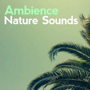 Ambience Nature Sounds - Ambient Nature Sounds