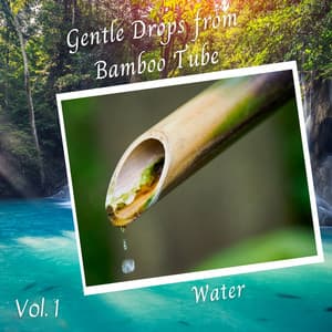 Water: Gentle Drops from Bamboo Tube Vol. 1 - The Nature Soundscapes