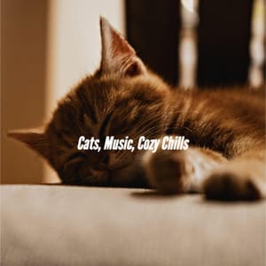 Cats, Music, Cozy Chills - Chill Vibes for Coffee Shops
