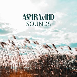 Breath of the Sky - Cynthia Gard