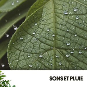 Sons et Pluie : Mélodies du Ciel sur Terre - Relaxing Guru
