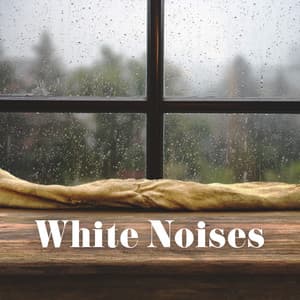 White Noises – Wind And Rainstorm For Studying - Mr. Sleeping White Noise
