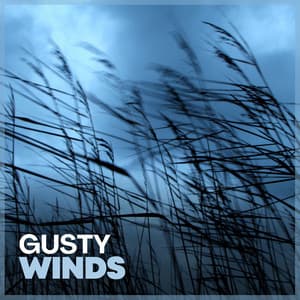 Gusty Winds - Thunderstorms