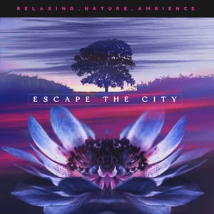 Escape the City - Relaxing Nature Ambience