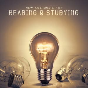 New Age Music for Reading & Studying - Improve Your Concentration - Study Music 101