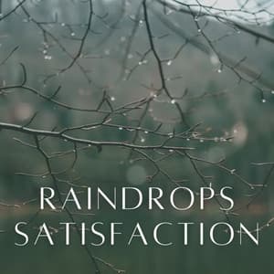 Raindrops Satisfaction - Yoga Solitude