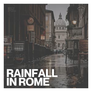 Rainfall in Rome - Rain Inc
