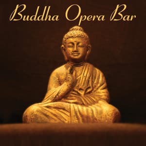 Buddha Opera Bar - The Cocktail Lounge Players