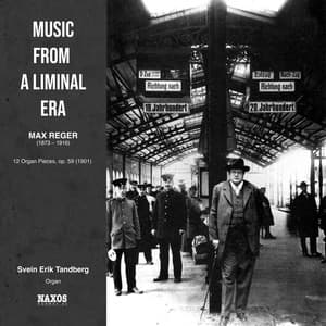 Music From a Liminal Era - Max Reger