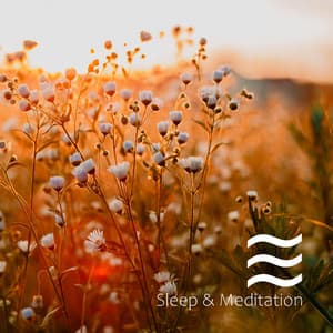 Baby Sleep Sounds Spring Collection - Baby Sleep Sounds