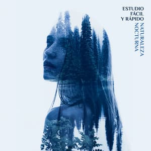 Estudio Fácil y Rápido: Activar la Concentración, Poder del Cerebro, Aprendizaje Pacífico - Academia de Música con Sonidos de la Naturaleza