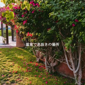 温室で息抜きの場所 - Jazz for Working