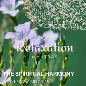 The Spiritual Harmony - 2020 Healing Melodies - Massage Tribe