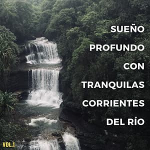 Sueño Profundo Con Tranquilas Corrientes Del Río Vol. 1 - Sonidos de agua para dormir