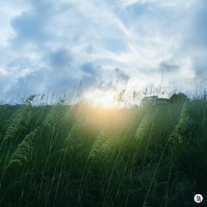 The wind announcing a new beginning - BGM Teacher