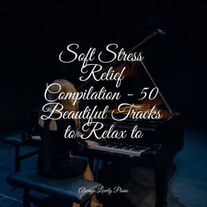 50 Modern Piano Classics for Calmness - Bar Lounge