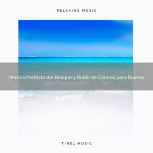 Música Perfecta del Bosque y Ruido de Colores para Buenos - Ruido Blanco Para Estudiar