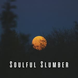 Soulful Slumber: Meditation Music for Restorative Sleep - Mindvellous