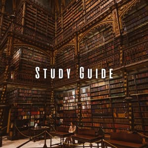 Study Guide: Music for Enhanced Learning - Thermal Femme