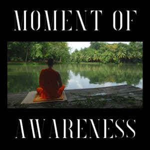 Moment of Awareness - Focusity