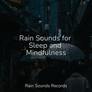 Rain Sounds for Sleep and Mindfulness - Musica para Dormir Dream House