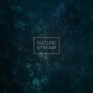 Nature Stream - Sounds for Life