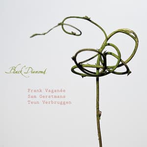 Black Diamond - Teun Verbruggen