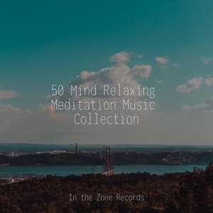50 Mind Relaxing Meditation Music Collection - Yoga Sounds