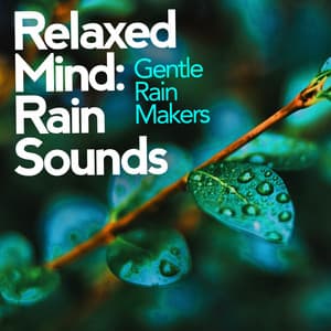 Relaxed Minds: Rain Sounds - Gentle Rain Makers