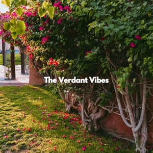 The Verdant Vibes - Café Música Ambiente