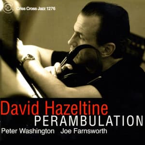 Perambulation - David Hazeltine