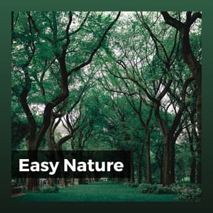 Easy Nature - Natural Sound Makers