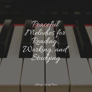 Soft Meditation Songs - Gentle Piano Music