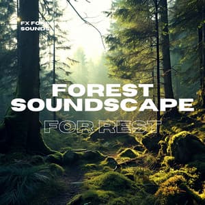 Forest Soundscape for Rest - FX Forest Sounds