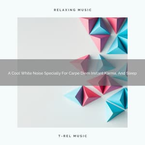 A Cool White Noise Specially For Carpe Diem Instant Karma, And Sleep - Be Relaxed White Noise