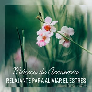 Música de Armonía Relajante para Aliviar el Estrés - Meditación curativa, Comodidad, Yoga, Dormir - Música Zen Relajante Conjunto