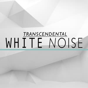 Transcendental White Noise - White Noise Meditation