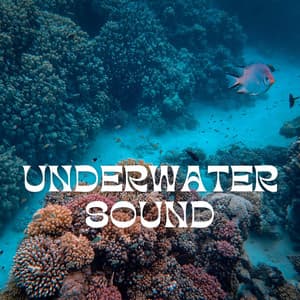 Underwater Sound: Meditation Time - Underwater Sounds Channel