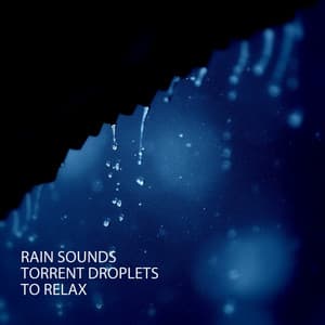 Rain Sounds: Torrent Droplets To Relax - Reading Music