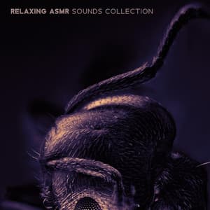 Relaxing ASMR Sounds Collection - ASMR Sounds Clinic
