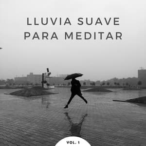 Lluvia Suave Para Meditar Vol. 1 - Sonidos de hombre de lluvia